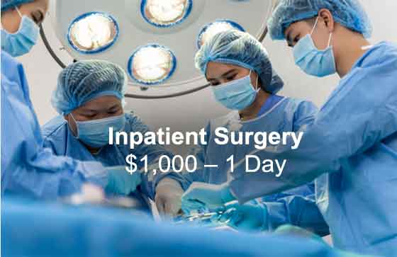 Inpatient Surgery $1,000 ? 1 Day